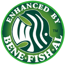 been_seal_rd2a