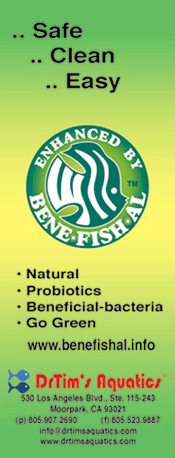 Benefishal175px