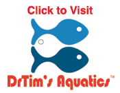 DTA_Stacked_Logo